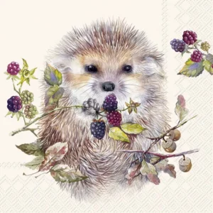 Forest Hedgehog Cream Kaffe 25x25cm