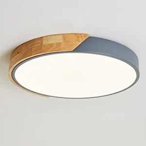LED Taklampa